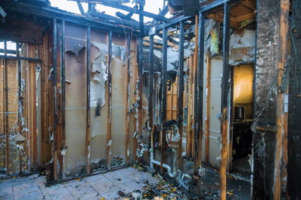Professional Smoke Damage Restoration technician working in Rockford, MN