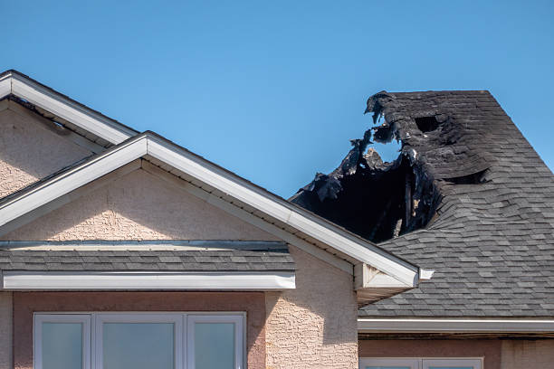 Top rated local Smoke Damage Restoration specialists in Rockford, MN